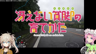 【自転車車載】雨天ライドのすゝめず【VOICEVOX】