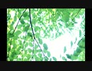 こんにちは♪【昼温和】No149≪自分を愛しながらがんばる≫