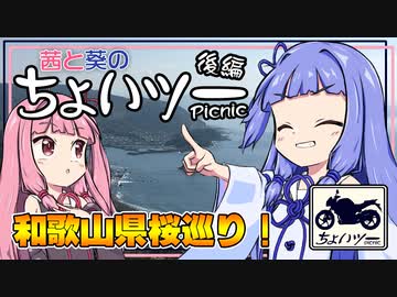茜と葵のちょいツーPicnic 和歌山県桜巡り！ 後編