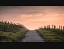第一歩 First step 【フリーBGM】
