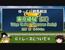GIレース解説⑩ 東京優駿（日本ダービー）