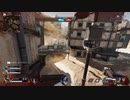 新しいAPEXの日本語訳が万歳すぎる
