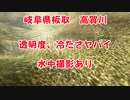 【水中撮影あり】岐阜県板取川の透明度がヤバイ！水が冷たくて気持ちがいい！