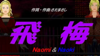 【Naomi＆Naoki】飛梅【カバー曲】