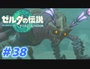 【実況】果てなき冒険は、大空へ広がる【ゼルダの伝説 ティアーズオブザキングダム】＃38