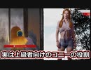 【TCM】被害者専のテキサスチェーンソー　part11【アグロコニー】
