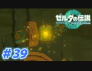 【実況】果てなき冒険は、大空へ広がる【ゼルダの伝説 ティアーズオブザキングダム】＃39