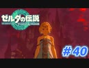 【実況】果てなき冒険は、大空へ広がる【ゼルダの伝説 ティアーズオブザキングダム】＃40