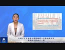 中国による台湾の国際機関への参加阻止は、長期的な戦略の一環