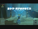 ゼルダの伝説　ブレス オブ ザ ワイルド　実況プレイPart30
