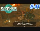 【実況】果てなき冒険は、大空へ広がる【ゼルダの伝説 ティアーズオブザキングダム】＃41