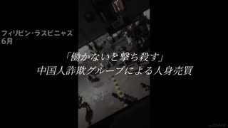 「働かないと撃ち殺す」中国人詐欺グループによる人身売買。