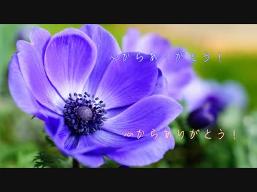 アネモネ 2023ver／チネンユーダイ feat.初音ミク