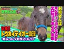 話題の超良血馬！新たなテイオーの孫ガレットデロワの2023に会ってきた【ウエストブックステーブル】