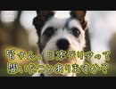 日本テリアって知ってる？