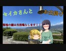 【京町セイカ車載】セイカさんとお出掛け -山梨キャンプ-【四輪車載】