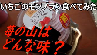 「秋の味覚〇〇～じゃないモンブラン？」