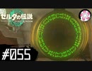 【ティアキン＃55】凡人が行く龍泪旅