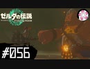 【ティアキン＃56】凡人が行く龍泪旅