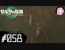【ティアキン＃58】凡人が行く龍泪旅