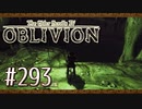 実況 ◇ The Elder Scrolls IV: オブリビオン ◇ 第293幕