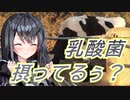 【微生物の秘めたる神秘】乳酸菌編【CoeFont解説】