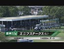 【競馬】2023年 エニフステークス(L)【ベルダーイメル / 藤岡佑介】