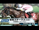 【競馬】2023年 第8回紫苑ステークス(GⅡ)【モリアーナ / 横山典弘】