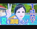一時間で夏を満喫しろ！inVR