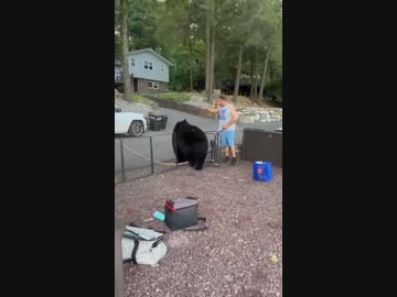 ホモと見るホームパーティーに乱入してきたクマ