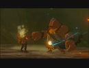 【ゼルダの伝説 ティアーズ オブ ザ キングダム】再びハイラルを救うまで【実況】 part109