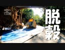【第176回】小麦の脱穀と水遊びと炊飯と10周年