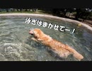 【増刊号】#60 水遊びするよー！！