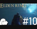 エルデンリング(犬)【ELDEN RING】＃10