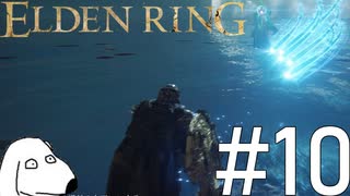 エルデンリング(犬)【ELDEN RING】＃10