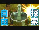 自由すぎてチソボまで作れるぜ！【ゼルダの伝説 ティアーズ オブ ザ キングダム】#110
