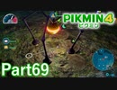 夜のハゲダマグモ【PIKMIN4実況part69】