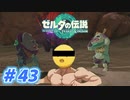 【実況】果てなき冒険は、大空へ広がる【ゼルダの伝説 ティアーズオブザキングダム】＃43