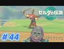 【実況】果てなき冒険は、大空へ広がる【ゼルダの伝説 ティアーズオブザキングダム】＃44