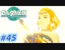 【実況】果てなき冒険は、大空へ広がる【ゼルダの伝説 ティアーズオブザキングダム】＃45