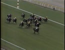 【競馬】1999年 メトロポリタンS