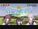 こはるりスタリオン　第33レース