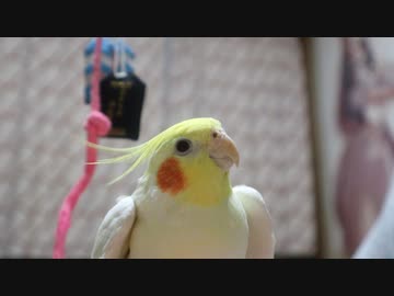 ロックンロール