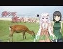 僕らは旅がしたい-奈良旅後半戦