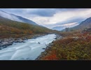 小川 Stream 【BGM】