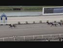 2023年9月10日高知競馬1R ２歳新馬 コパノダーバン