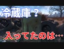 【フォールアウト４】ビリー少年を家まで送り届ける親切なブルー【小ネタ】