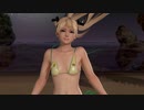 【DoaX3/レイファン+マリー】着替え成功+失敗shuffle