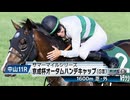 【競馬】2023年 第68回京成杯オータムハンデキャップ(GⅢ)【ソウルラッシュ / 松山弘平】