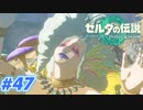 【実況】果てなき冒険は、大空へ広がる【ゼルダの伝説 ティアーズオブザキングダム】＃47